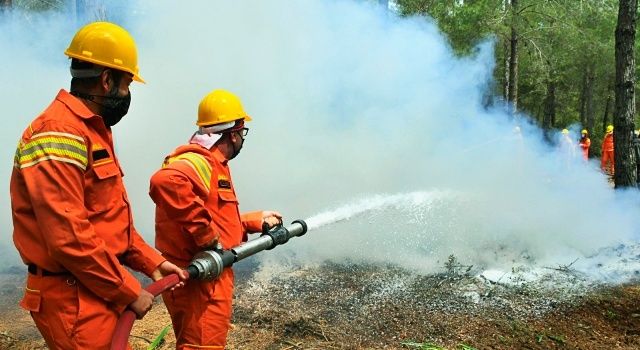 Orman yangınlarıyla gönüllü mücadele: Hedef 100 bin gönüllü