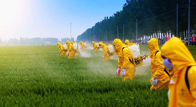 Tarım Zehirleri Stoklar Tükenene Kadar Soframızda