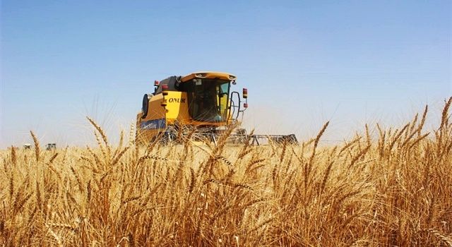 Tarımsal girdi fiyat endeksi Kasım 2021'de yıllık yüzde 36,2 arttı