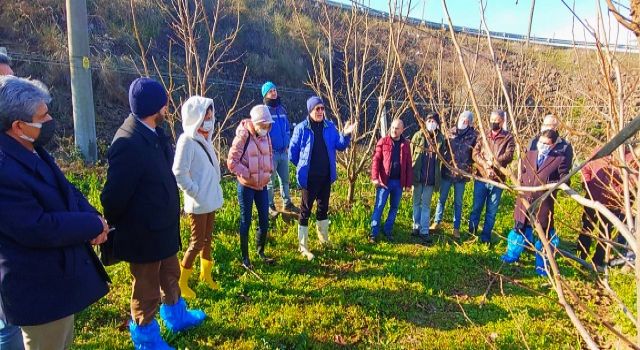 Altınova’lı Çiftçilere Budama Eğitimi Verildi