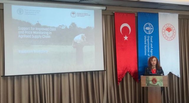FAO'nun fiyat izleme projesi İzmir'deki çalıştayla yoluna devam etti
