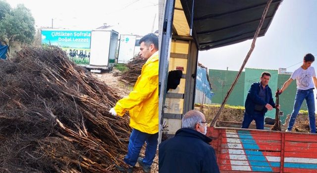 Ceviz Üretim Alanlarını Geliştirme Projesi Kapsamında 10 bin 300 Adet Fidan Dağıtımı Yapıldı