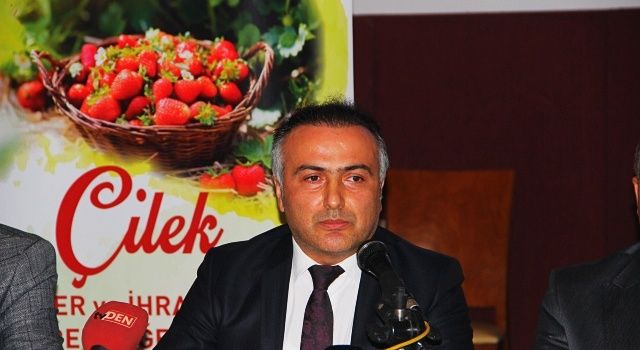 Çilekte pestisitle mücadeledeki başarı ihracatta rekor getirdi