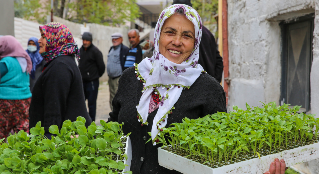 Buca Belediyesi’nden üreticiye 100 bin sebze fidesi