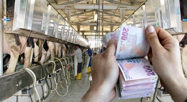 Çiftçilere 1,6 milyar liralık destek ödemesi hesaplara yatıyor