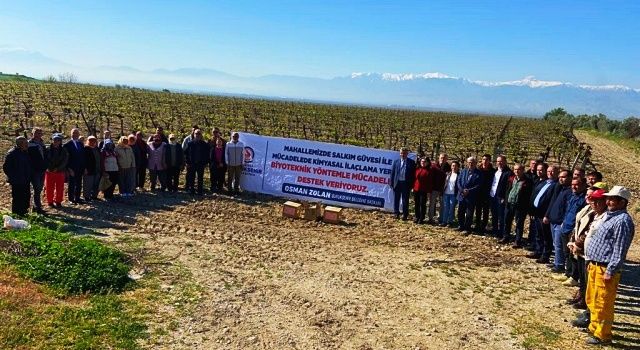 Denizli’de Bağlarda Salkım Güvesine Karşı Biyoteknik Mücadele Alanları Artıyor