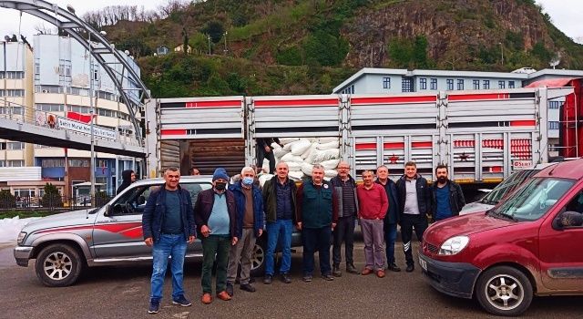 Giresun’da Arıcılara İndirimli Şeker Dağıtımına Başlandı