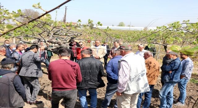 Kivi Yetiştiricilerine Sulama Yöntemleri Ve Kök Çürüklüğü İle Mücadele Eğitimi