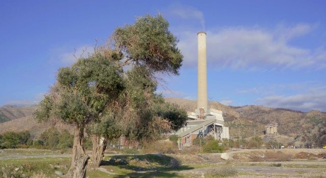 Milas’ın geleceği ‘‘AB tescilli’’ zeytinyağında, kömürde değil