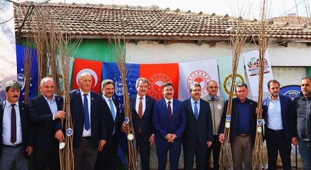 Mudanyalı çiftçiye Trabzon hurması desteği