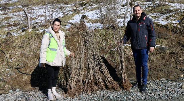 Ordu’da İpek Böcekçiliği Yaygınlaşıyor