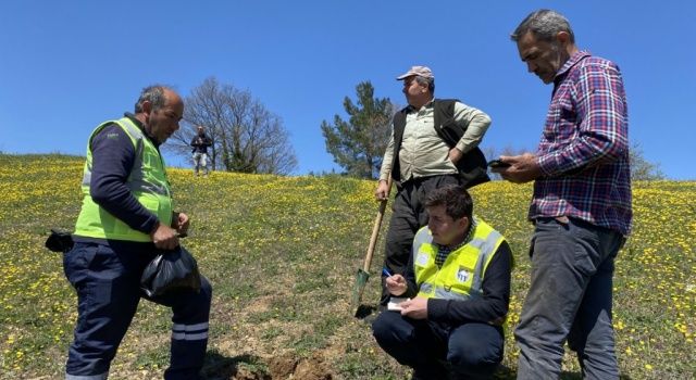 Tarımda Marka Şehri Mustafakemalpaşa, Çiftçilerin Yüzünü Güldürüyor