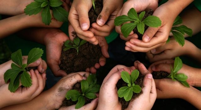 Tarımsal girdi fiyat endeksi rekor kırdı