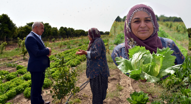 Tarsus Belediyesi Destek Verdi, Üreticiye Verilen Marulların Hasat Zamanı Geldi