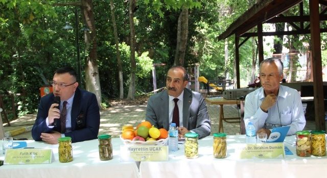 Kornişon ihracatında hedef pestisitsiz üretimle 200 milyon dolar ihracata ulaşmak