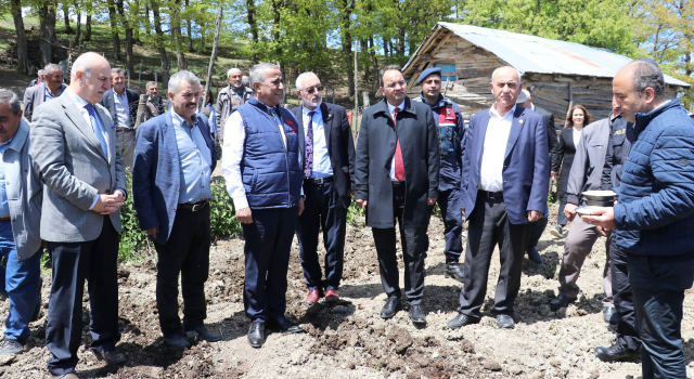 Samsun’da dağıtımı yapılan kuru fasulyeler ekildi