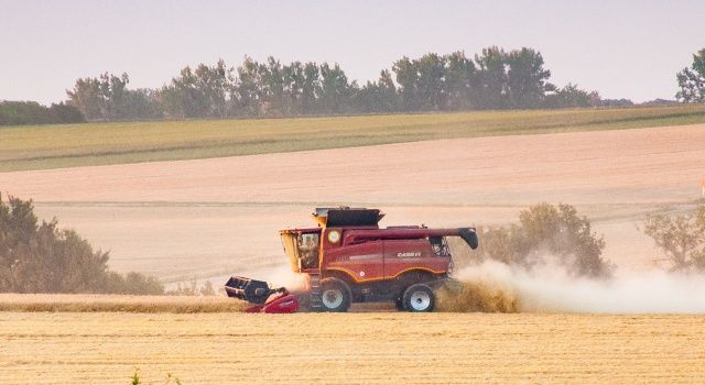 Toplam Bitkisel Üretimimiz 125,7 Milyon Ton Tahmin Edildi