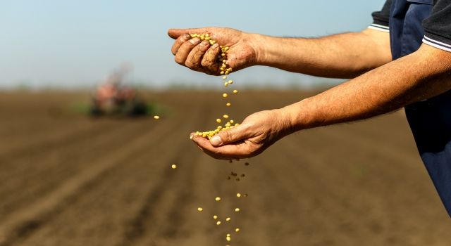 Türk çiftçisi üretiyor, ihracatçı dövize dönüştürüyor