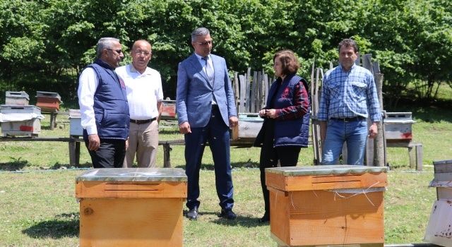 Üç Arı Yetiştiricisine 300 Bin Liralık Destek