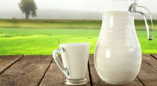 Artan girdi maliyetleri süt üreticilerini zorluyor