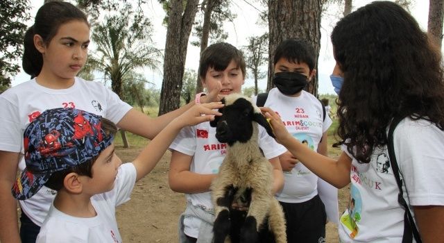 Çocuklardan Model Tarım Köyü Önerisi