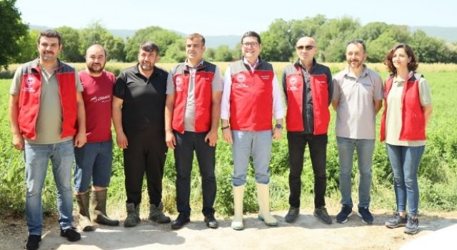 Muğla’da Buzağı Ölümlerini Önleyen 2 Önemli Proje Hayata Geçirildi