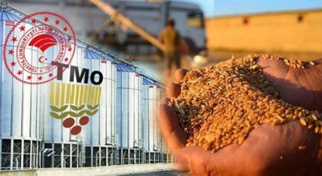 Tarım Ve Orman Bakanlığından Uygun Fiyatlı Ekmeklik Buğday Satışına Devam Kararı