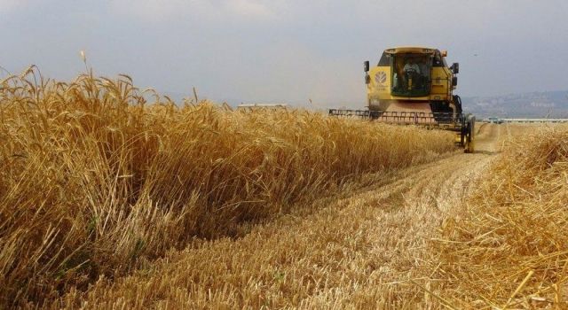 Arpa, Buğday İthalatında Dünyada İlk Üçe Girdik