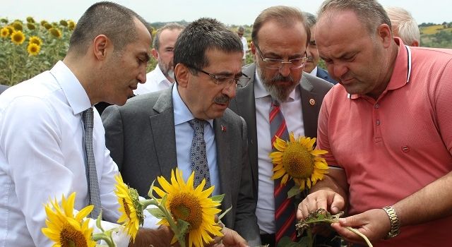 Bakan Yardımcısı Pakdil: “Rekolte kaybı olup olmadığını tahmin etmek henüz erken olur”