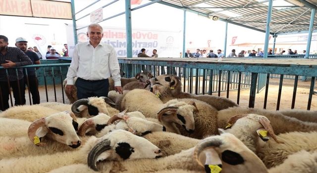 Büyükşehir kırsal kalkınma hamlesini sürdürüyor