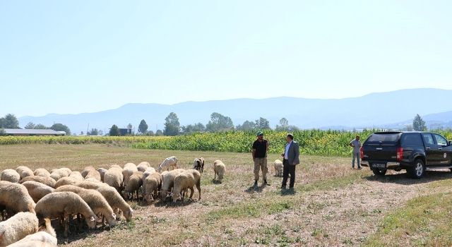 Köyümde Yaşamak İçin Bir Sürü Nedenim Var Projesi Başvuruları Başladı