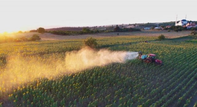 Tırtıl Basan Tarlaya İnegöl Belediyesi’nden Müdahale