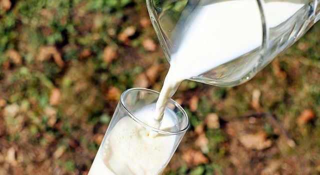 Toplanan İnek Sütü Miktarı Yüzde 1,6 Azaldı
