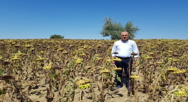 Aygun’dan Bakan Kirişci’ye Ayçiçek İçin Taban Fiyat Çağrısı