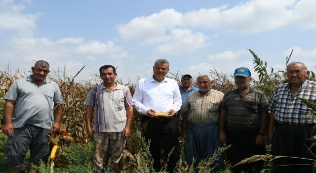 Ayhan Barut, Mısır üreticisi isyan ediyor