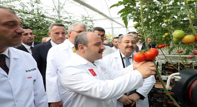 Bakan Varank'tan Büyükşehir'e tam not: "Seracılık alanında çok başarılı bir iş"