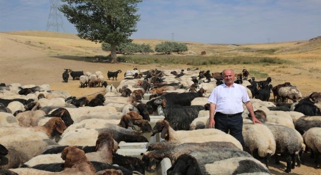 Belediyemizin, Kırsal Mahallelere Sağladığı Sıvat Desteği Devam Ediyor