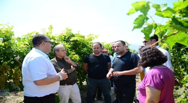 Denizli Sarayköy’de Salkım Güvesi İle Biyoteknik Mücadele Projesi Kapsamında Tarla Günü Düzenlendi