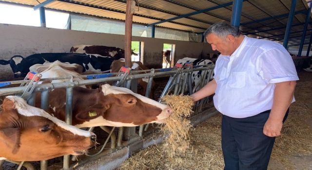 Gürer: “Hayvancılık kan kaybediyor”