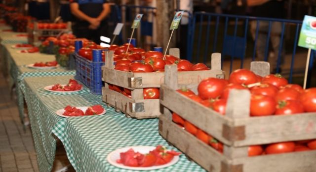 Silivri'de en güzel domatesler yarıştı
