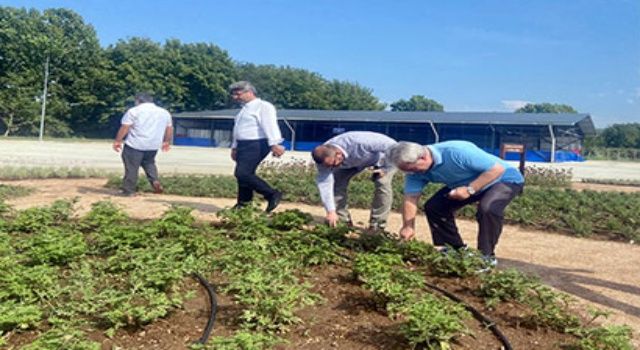 TABİP, Türkiye’ye örnek oluyor