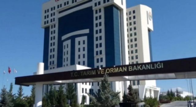 Tarım ve Orman Bakanlığı 338 Personel Alımı