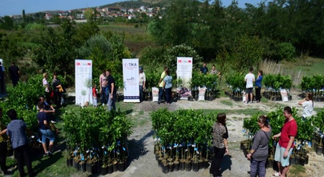 Arnavutluk'taki ihtiyaç sahibi ailelere narenciye fidanı desteği