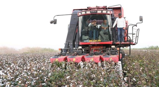 Bakan Kirişci, Adana'da pamuk hasat etti