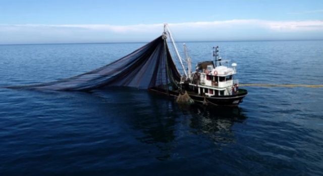 Balıkçılara indirimli tarım kredisi müjdesi