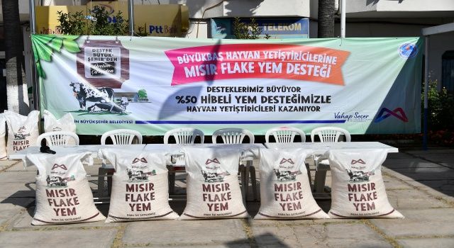 Büyükbaş yetiştiricisinin yem maliyetini yarıya indirdik