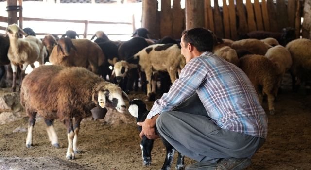 Büyükşehir Sayesinde Geleceğe Güvenle Bakıyor