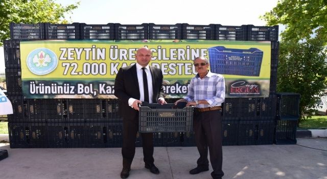 Büyükşehir zeytin üreticilerine 72 bin kasa dağıttı