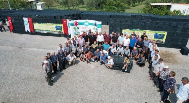 Büyükşehir'den üreticilere 72 bin zeytin kasası desteği