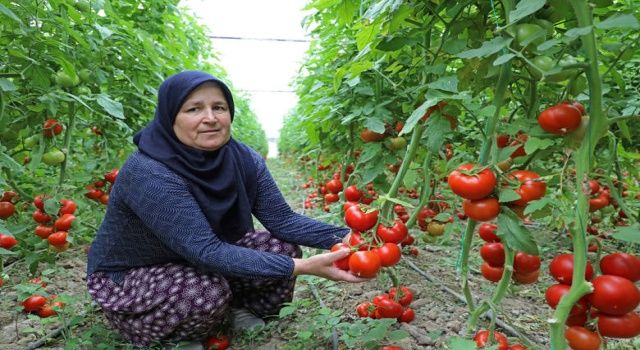 Büyükşehir’in sulama projesi Manavgat’a hayat verdi